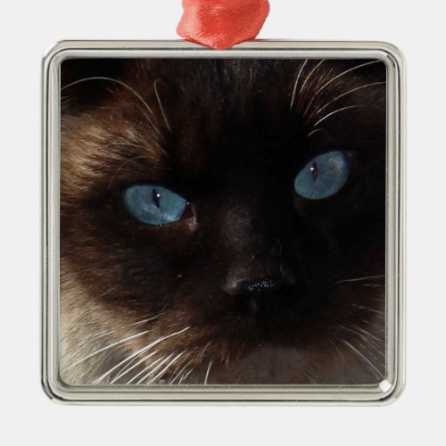 Kitty Blue Eyes Metal Ornament