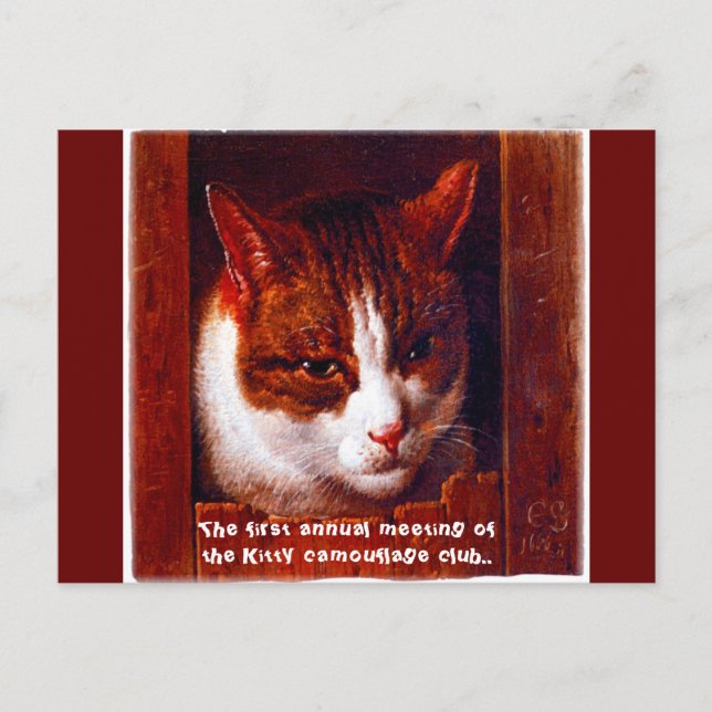 "Kitty camouflage club" Postcard (Front)