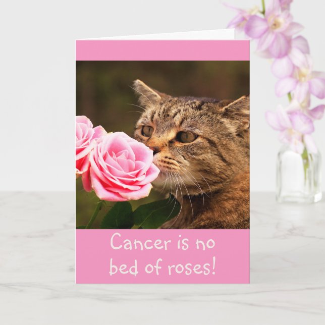 Kitty Cancer Wisdom Card (Orchid)
