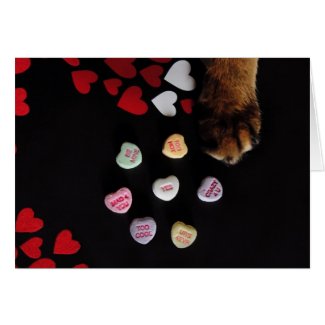 Kitty Candy Hearts Valentine's Day Card