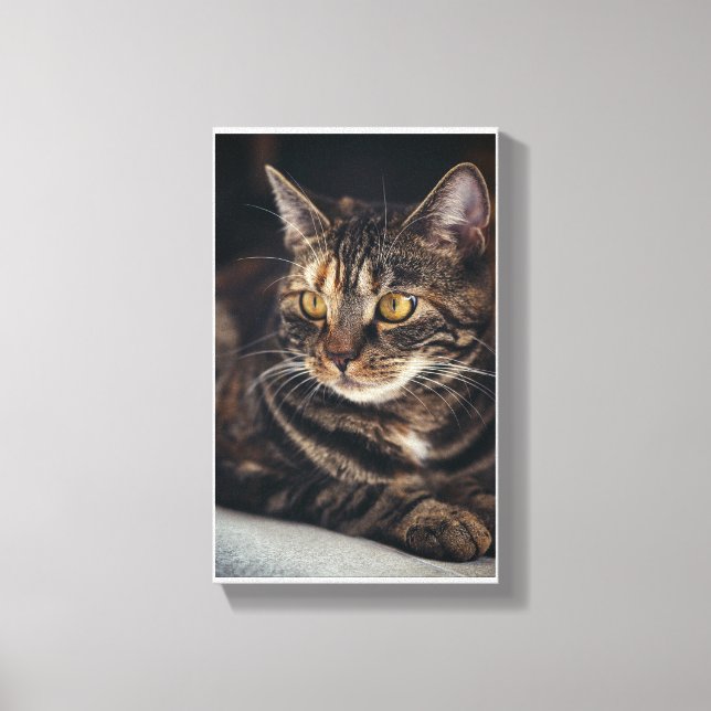 Kitty Canvas Print (Front)