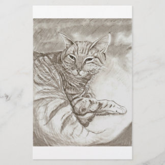 Kitty Cat