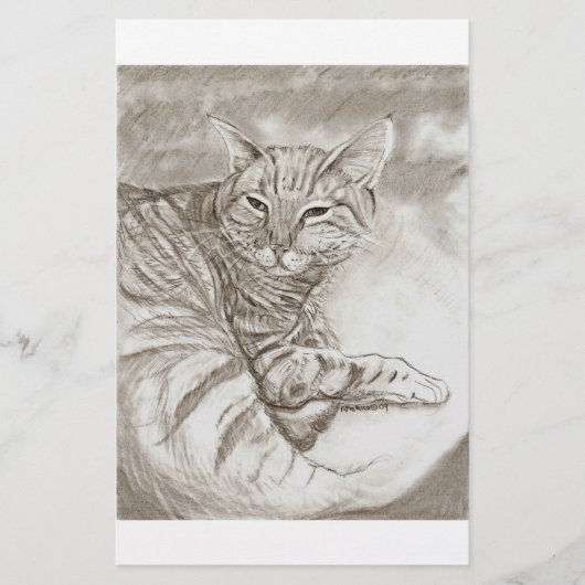 Kitty Cat (Front)