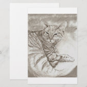 Kitty Cat (Front/Back)