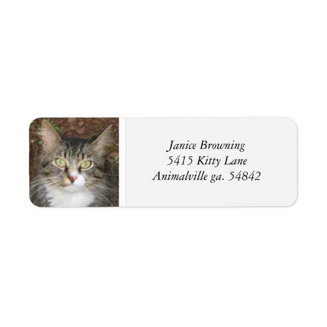 Kitty Cat Address Label (Front)