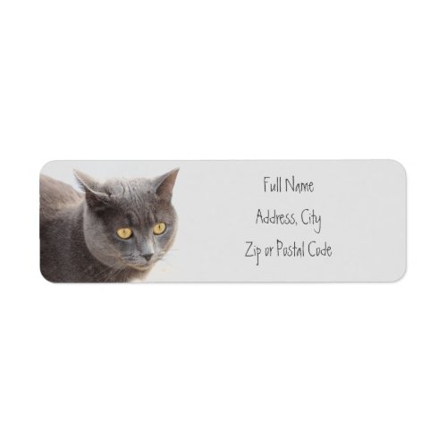 Kitty Cat Animal Address Labels