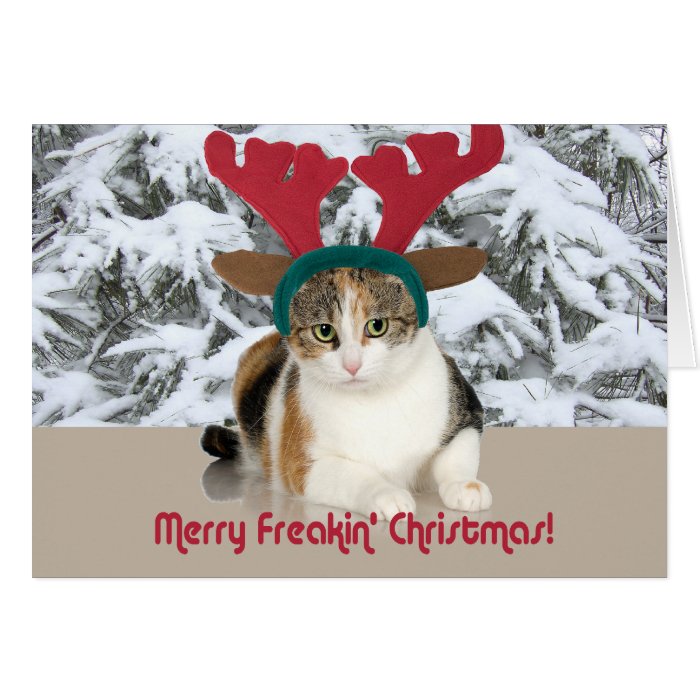 Kitty Cat & Antlers Merry Freakin Christmas Cards