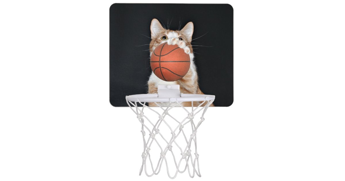 Kitty Cat Basketball Mini Basketball Hoop Zazzle Com