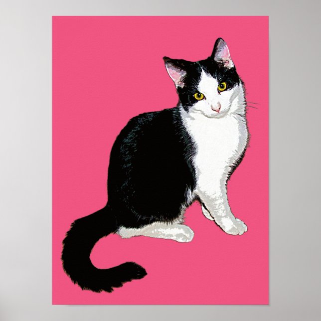 Kitty Cat, Black and White on Hot Pink Poster (Front)