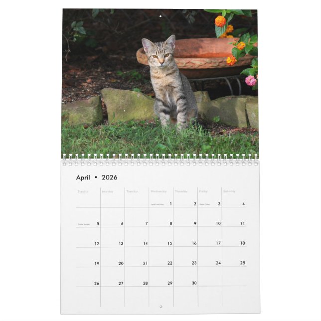 Kitty Cat Calendar (Apr 2026)