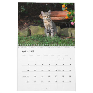 Kitty Cat Calendar