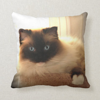 ragdoll cat pillow