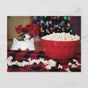 Kitty cat Christmas temptation Postcard