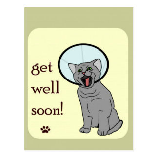 Cat Get Well Soon Cards | Zazzle