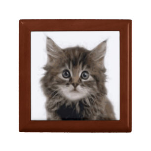 KITTY CAT GIFT BOX