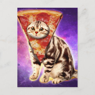 Kitty cat head pizza postcard