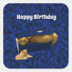 Birthday celebration with dj cat gif - Animals - Birthday Greeting