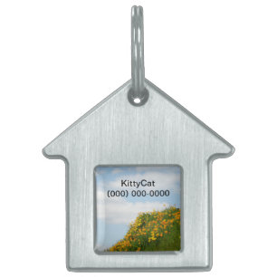 Kitty Cat ID tags Pet tag Phone Number Name