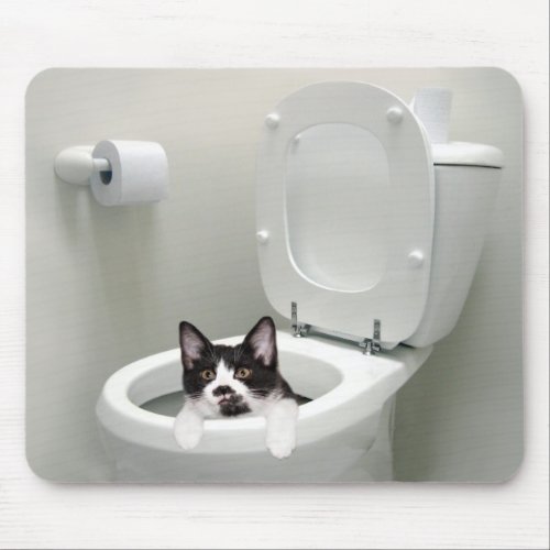 Kitty cat in toilet bowl mouse pad