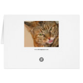 kitty cat kiss cards (Back Horizontal)