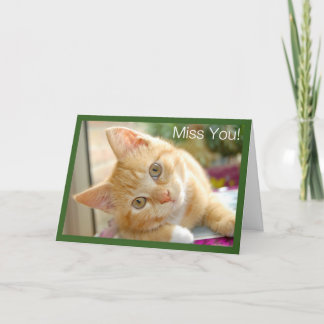 Kitty Cat - Kitten Miss You Card