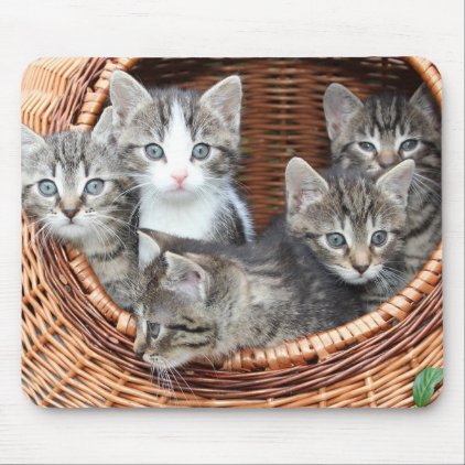 Kitty Cat Kittens In A Basket Mouse Pad