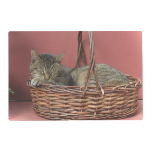 Kitty Cat Laminated Placemat