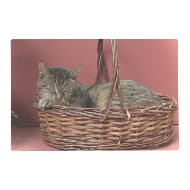 Kitty Cat Laminated Placemat (Back)