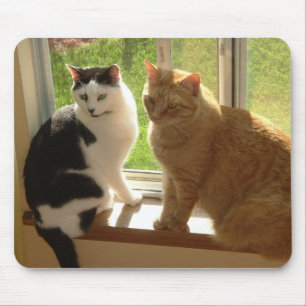 Kitty Cat Love Mouse Pad