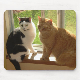 Kitty Cat Love Mouse Pad