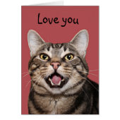 Kitty cat loves you (Front)