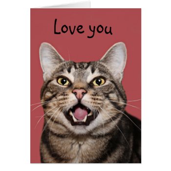 Kitty Cat Loves You by deemac1 at Zazzle