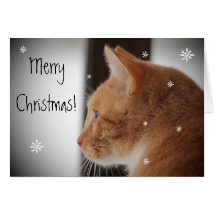 Kitty Cat Merry Christmas Card