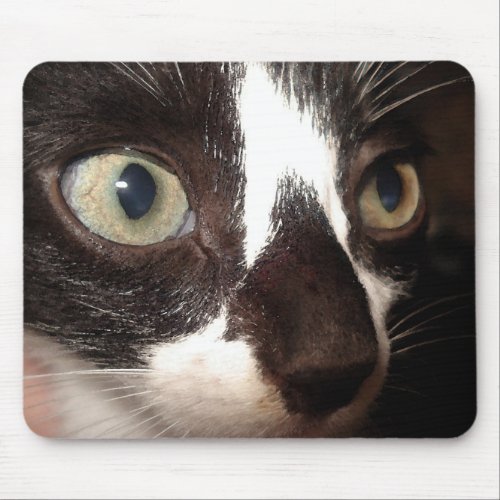 Kitty Cat Mouse Pad