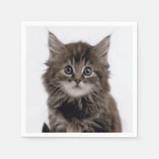 KITTY CAT