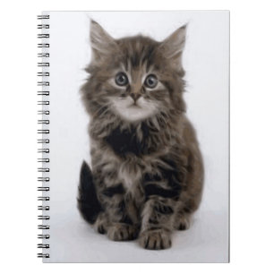 KITTY CAT NOTEBOOK