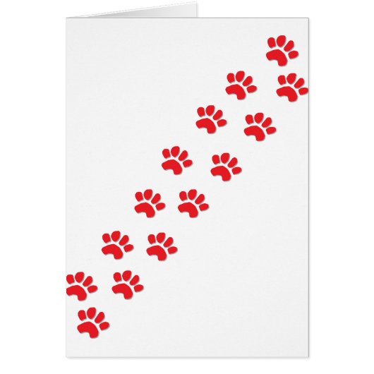 Kitty Cat Paws Cards (Front)