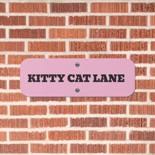 KITTY CAT PINK STREET SIGN (In Situ(Brick))