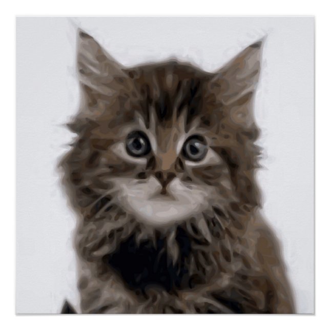 KITTY CAT POSTER (Front)