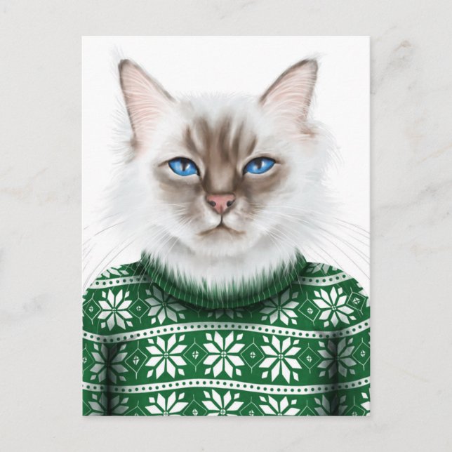 Kitty Cat Sweater Postcard (Front)