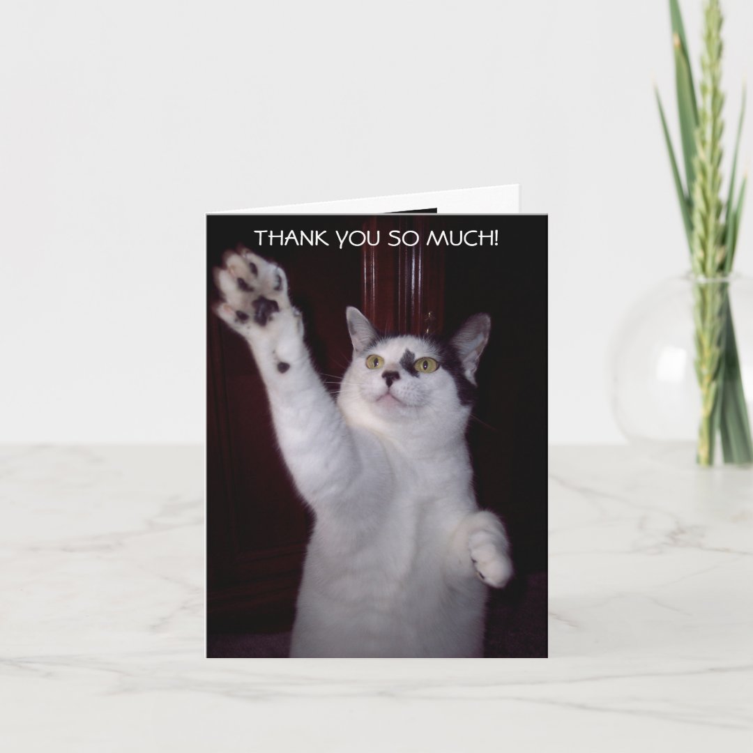 KITTY CAT THANK YOU CARD | Zazzle