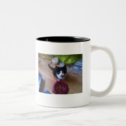 Kitty cat Two-Tone coffee mug