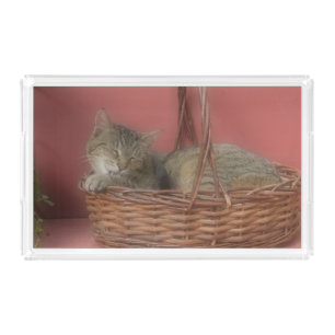 Kitty Cat Vanity Tray