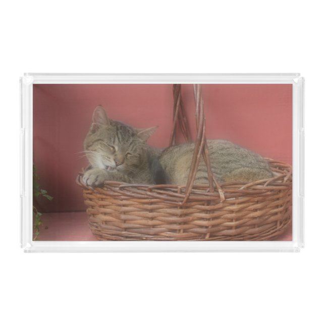 Kitty Cat Vanity Tray (Front)