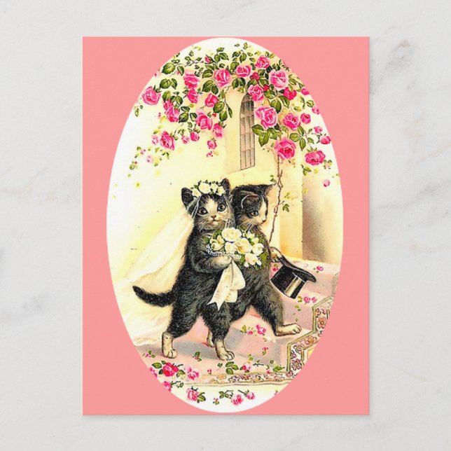 Kitty Cat Wedding Postcard (Front)