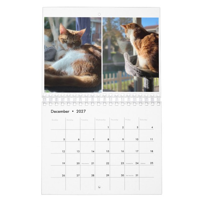 Kitty Cats Calendar (Dec 2027)