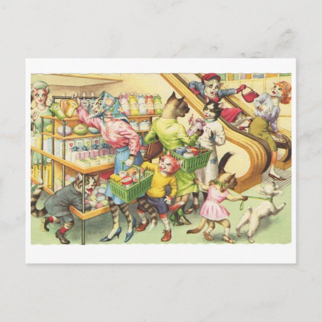 Kitty Cats in a Grocery Store, Cats in Clothes Postcard (Front)