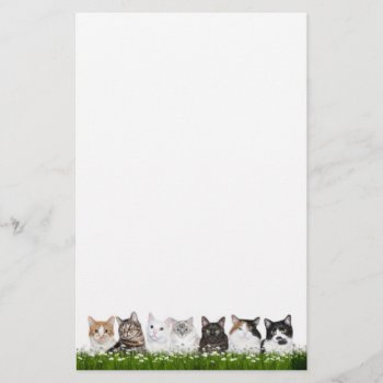 Kitty Cats In Daisies Stationery by deemac1 at Zazzle