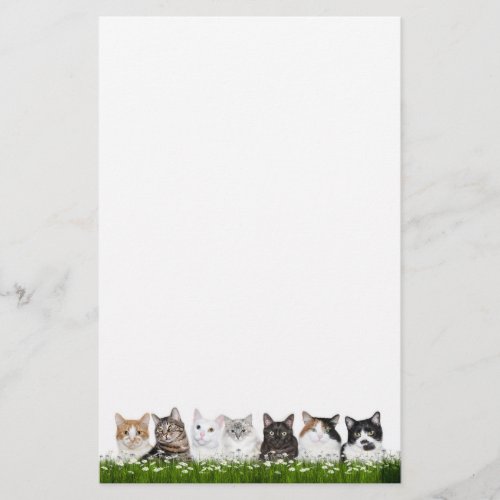 Kitty cats in daisies stationery