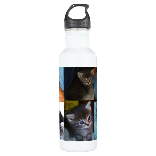 KITTY CATS jug Stainless Steel Water Bottle (Front)